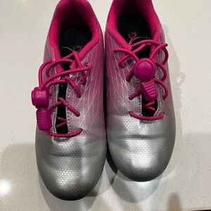 DSG Pink and Silver Sneakers Sleek Design